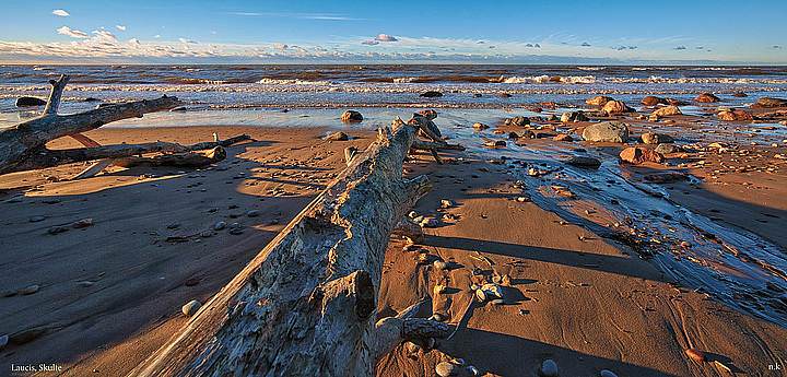 stones and driftwood