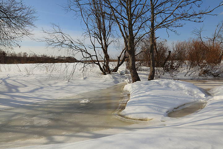 Снега