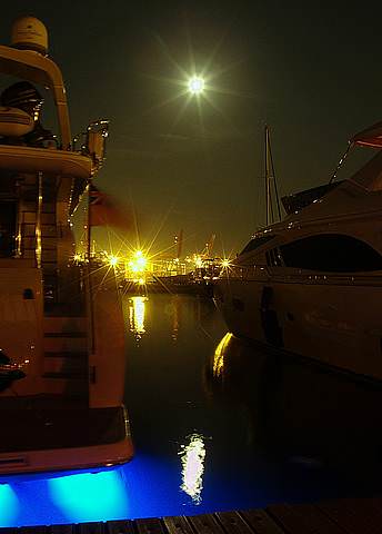 P7268794-001-sh250.jpg