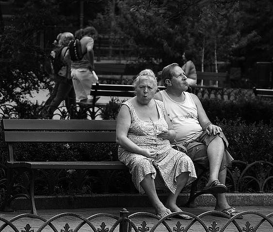 OFP_1831-001sh350.jpg