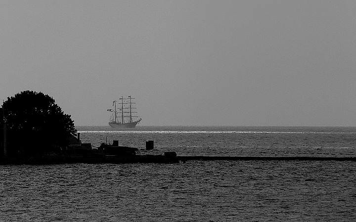 OFP_1497-0031sh350.jpg