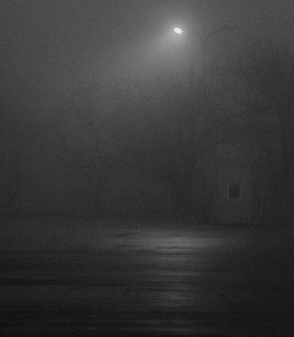 DSC_1137-0010.jpg