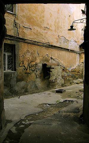 P4166492-001ed2sh350.jpg