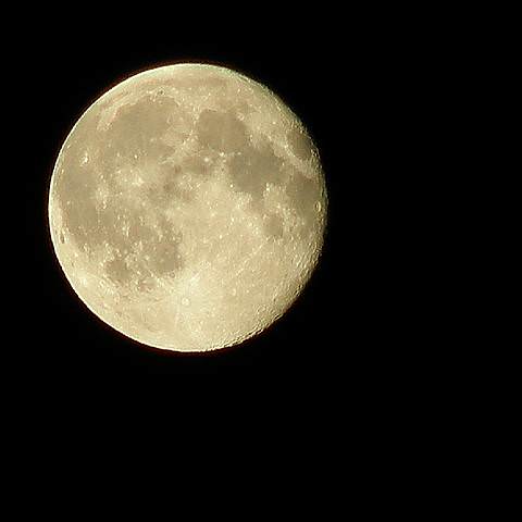 photo_big_174177.jpg
