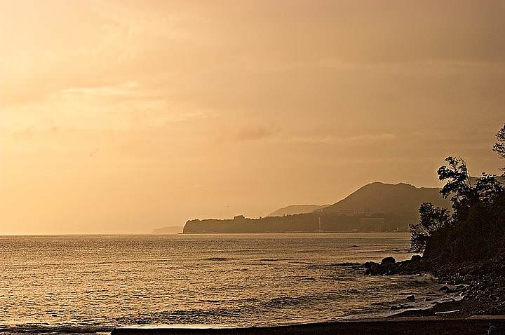 DSC_0180.jpg