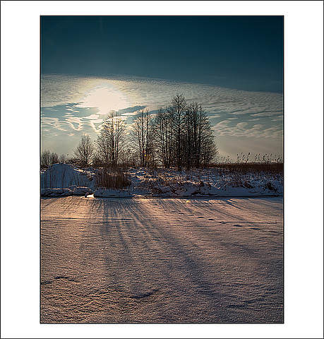 IMG_7967 i  liga life сс.jpg