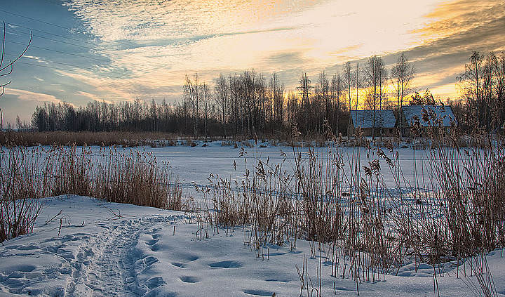 IMG_8249 сс.jpg