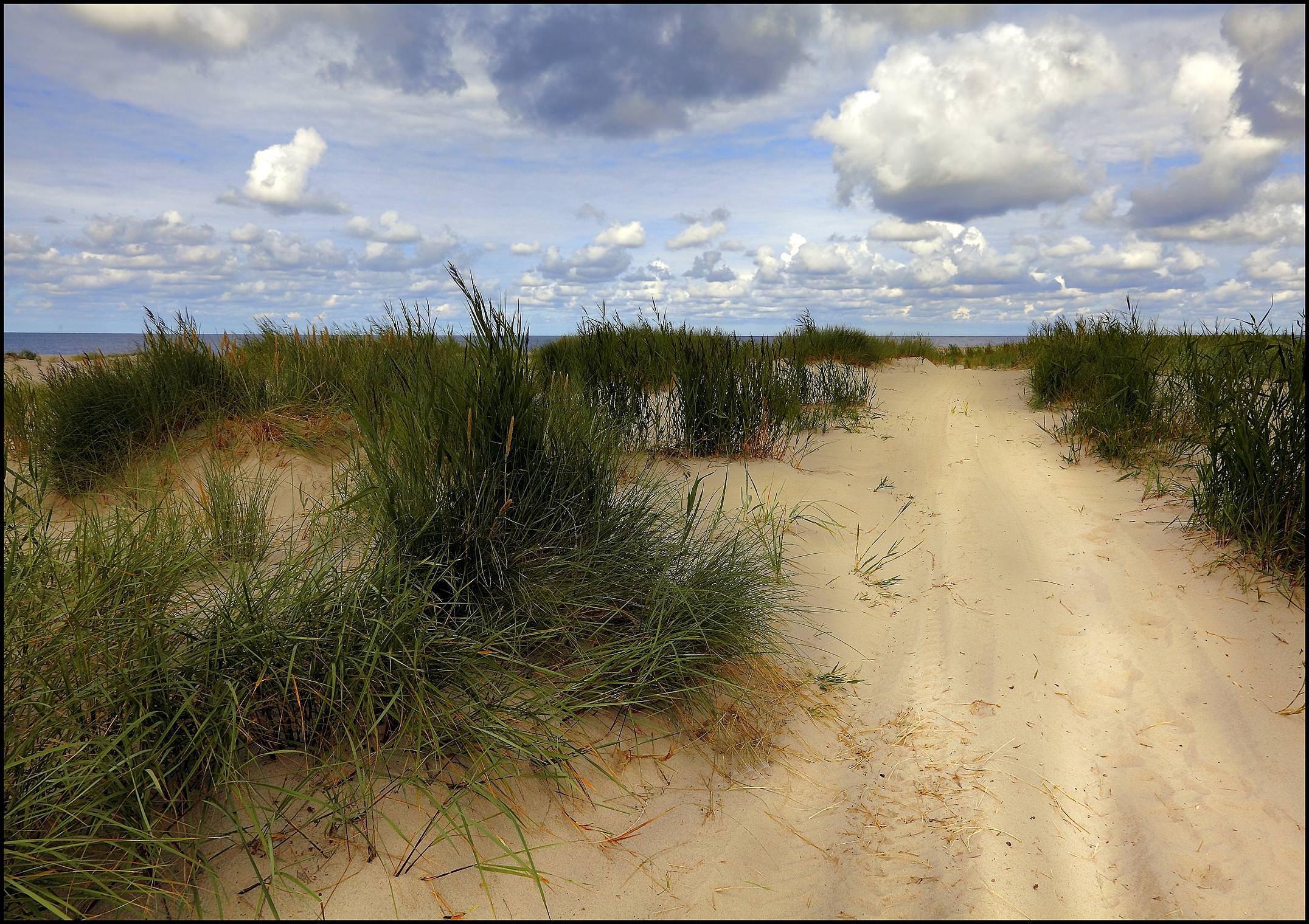 Пейзаж с песком и осокой