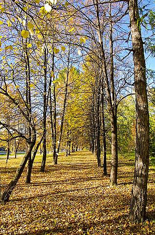 Осень