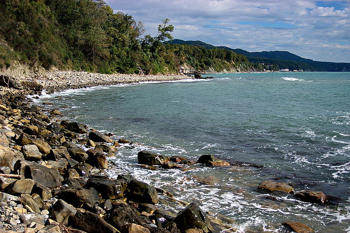 DSC_0816.jpg