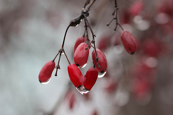 Всегда вместе . . .