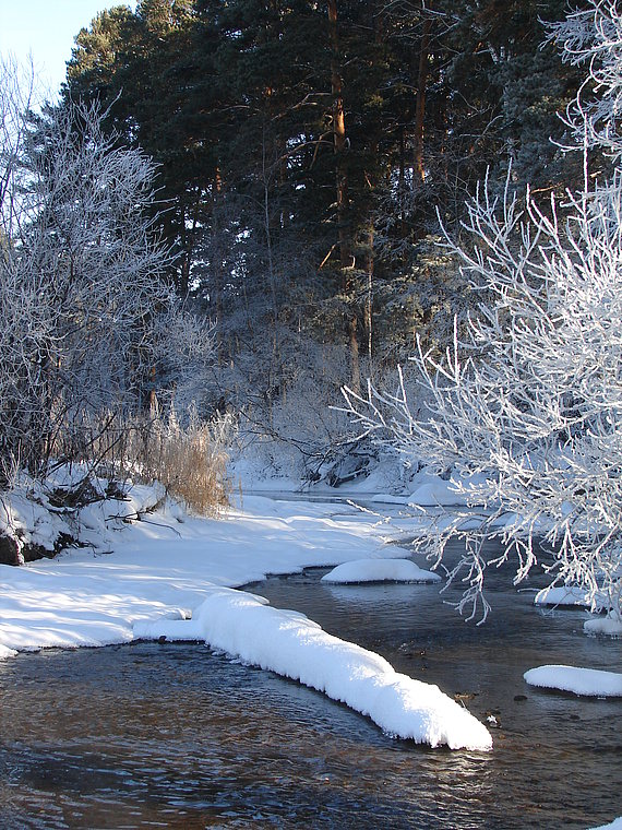 Зима у реки.