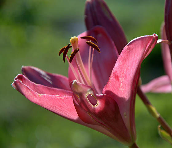 DSC_1577-1.jpg