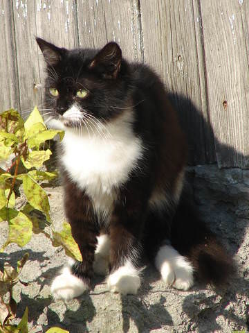 DSC00151.JPG