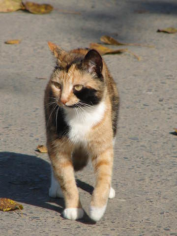 DSC00142.JPG