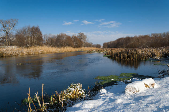 _DSC2177-1-3.jpg