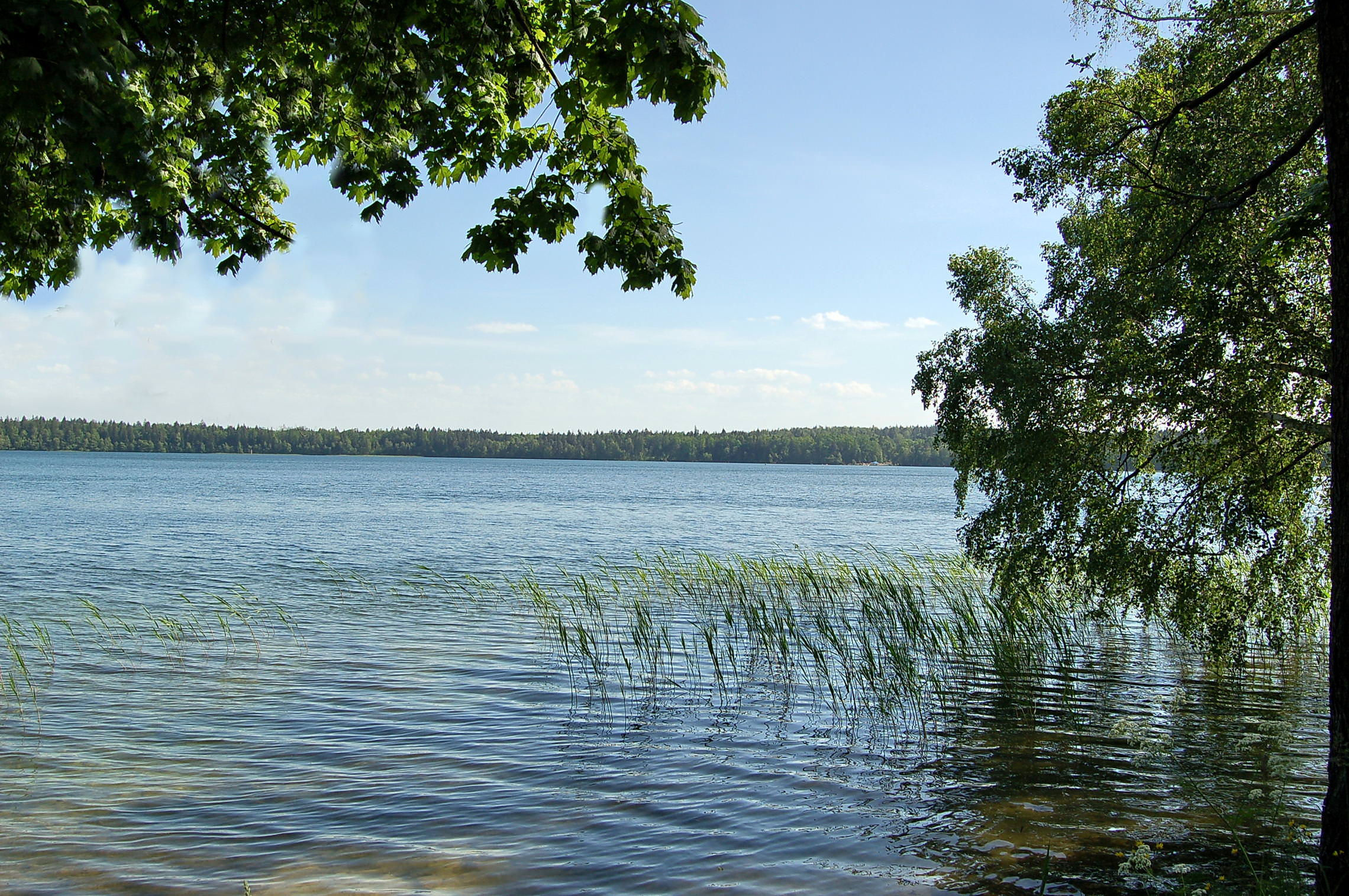  Озеро Свитязь.