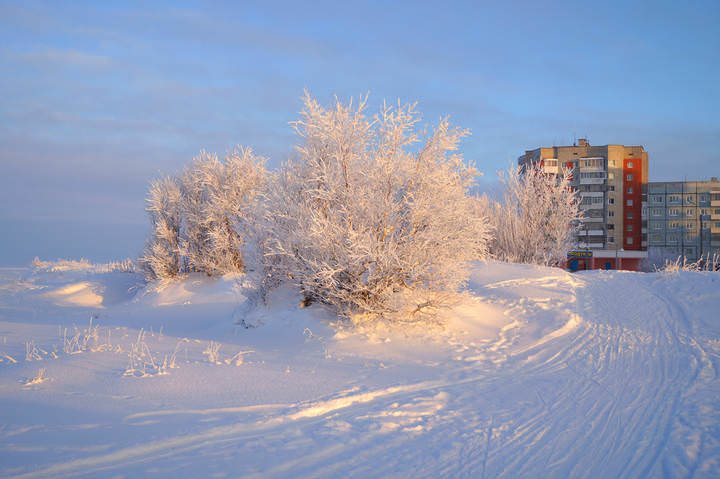 Город Северодвинск.Ягры.19.01.2014 .006.