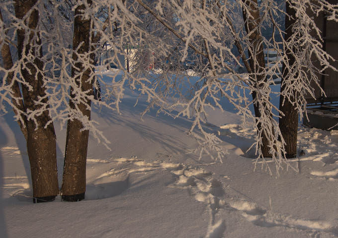 DSC_0133.jpg
