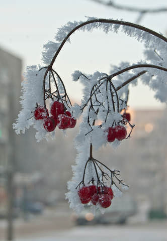 DSC_0019.jpg