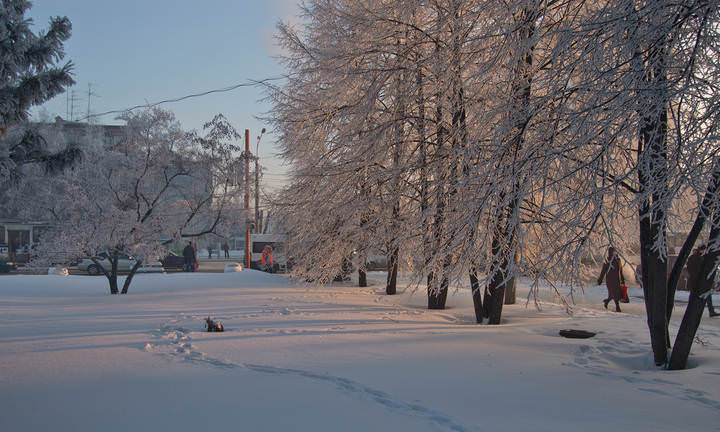 DSC_0044.jpg