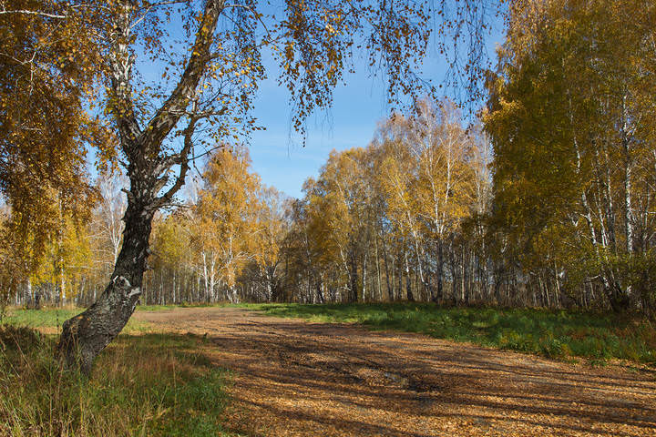 Осень.jpg