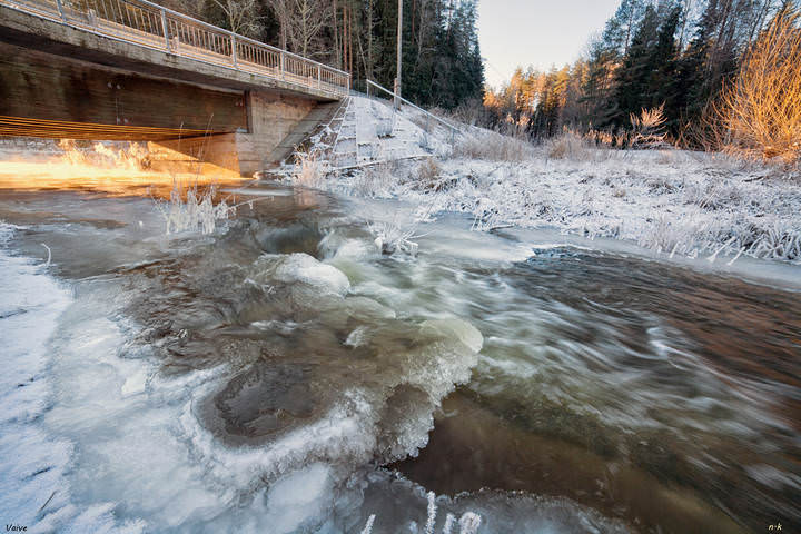 vaive