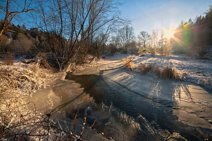 vaive