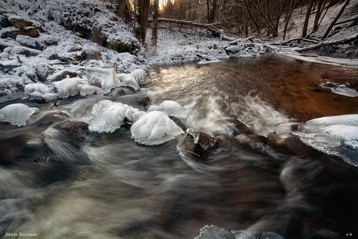 IMG_5184.jpg