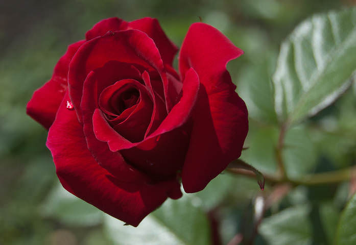 DSC_0040.jpg
