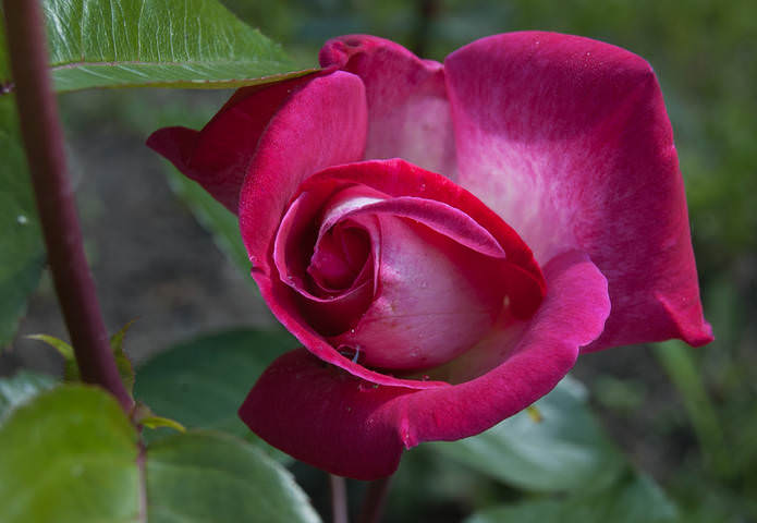 DSC_0052.jpg