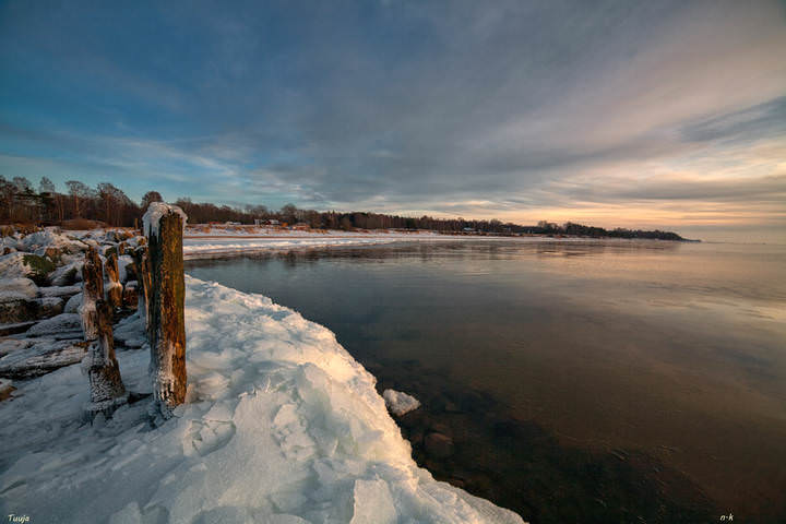 ********