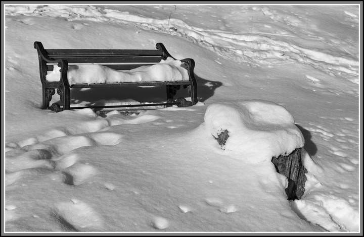 _MG_4999.bw.jpg