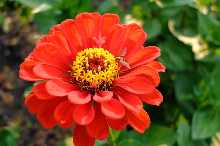 DSCF2665.JPG