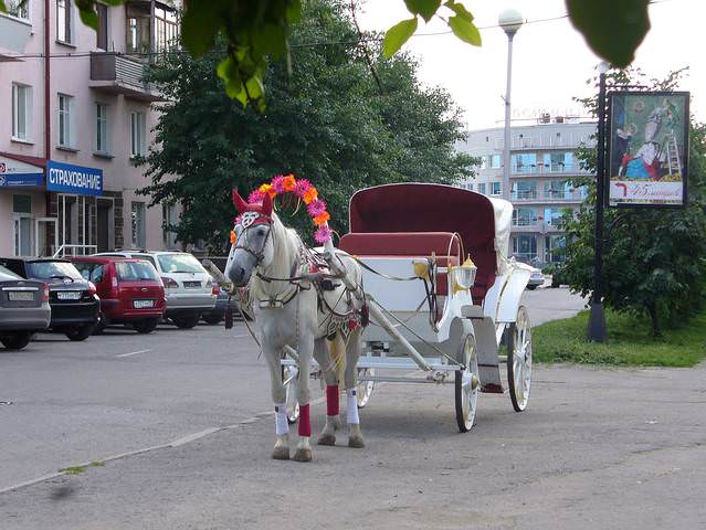 P1050386.JPG