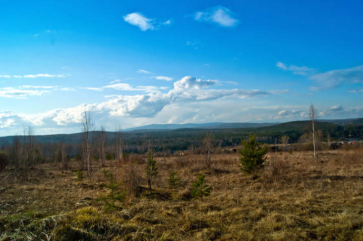 _DSC1966.jpg