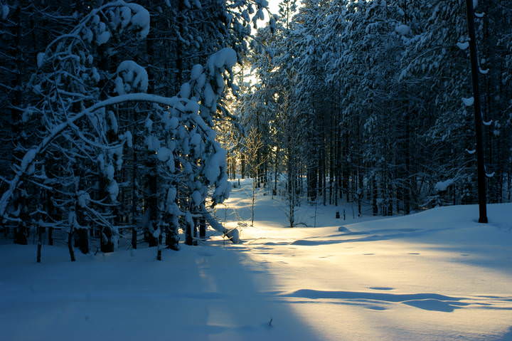 DSC04883.JPG