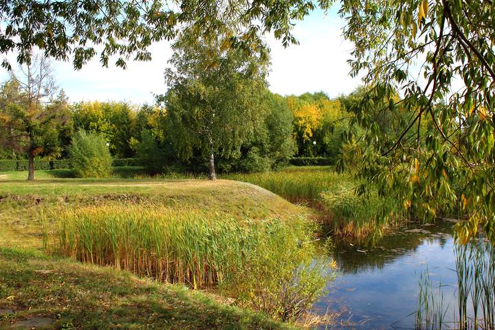 Старозагородная роща..