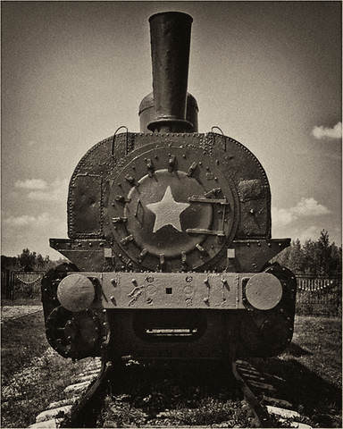 Чистокровный пролетарий (1)