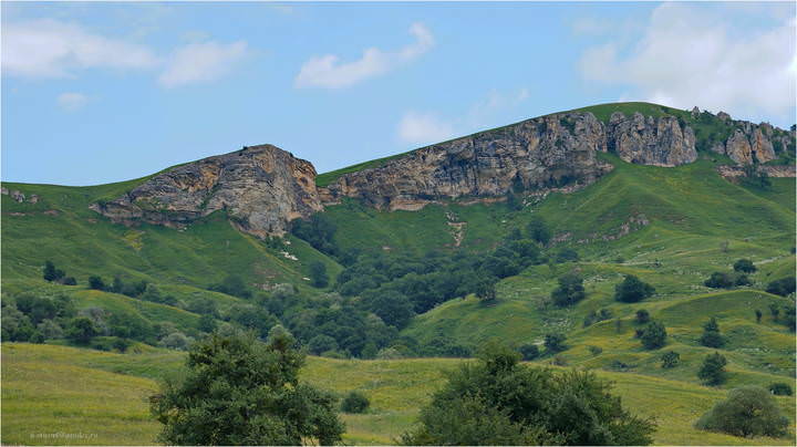 п043.jpg