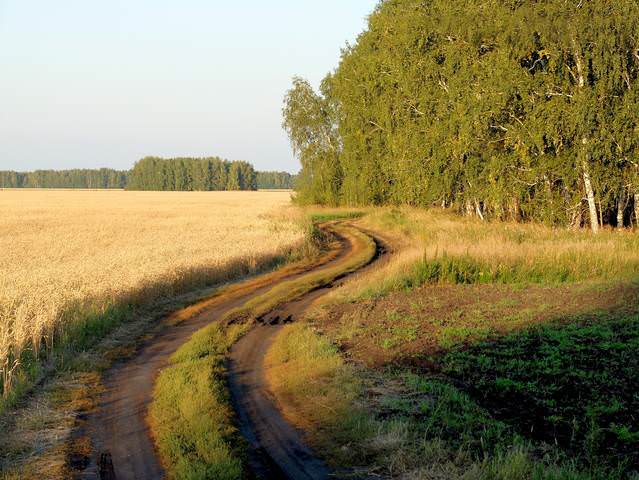 Полевая дорога.
