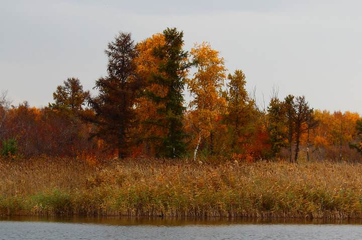 IКраски осени.