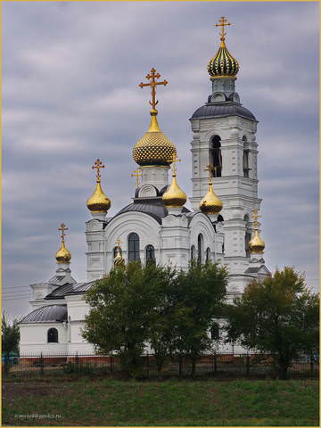DSC01135.jpg
