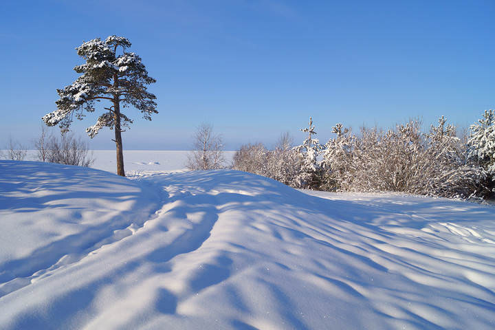 ягры.20.02.2014 .021.