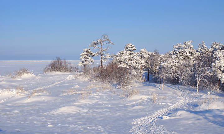 ягры.20.02.2014 008 - копия.JPG
