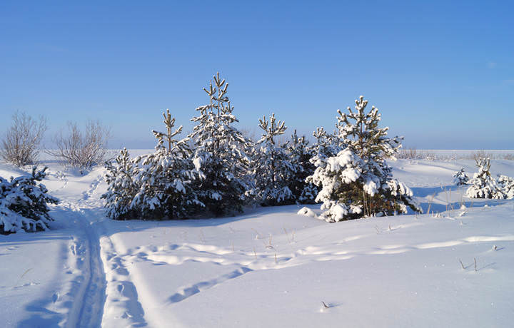 ягры.20.02.2014 .050.
