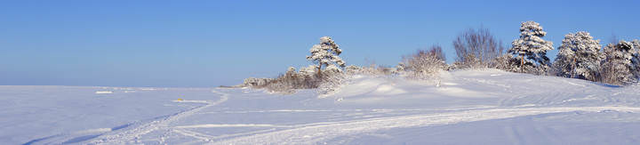 ягры.20.02.2014 .066.