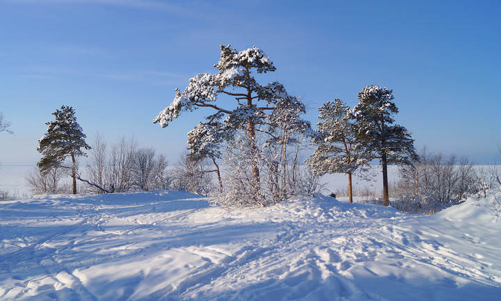 ягры.20.02.2014 .035.