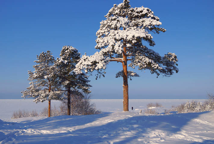 ягры.20.02.2014.034.