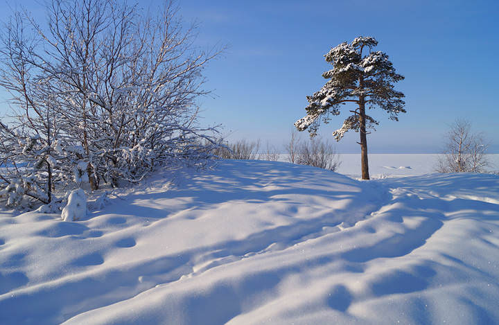 ягры.20.02.2014 .020.